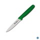 Paring Knife Green