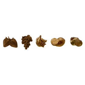 Chocolate Moulds 16 Fruits